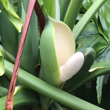 La Gañanía Casa de Campo *