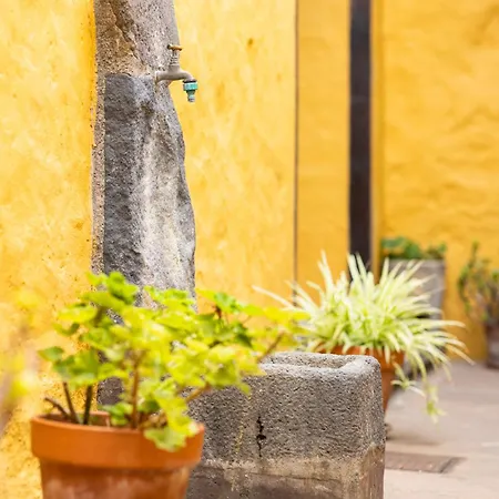 Gospodarstwo wiejskie La Ganania *