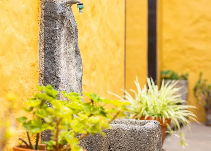 Gospodarstwo wiejskie La Ganania *