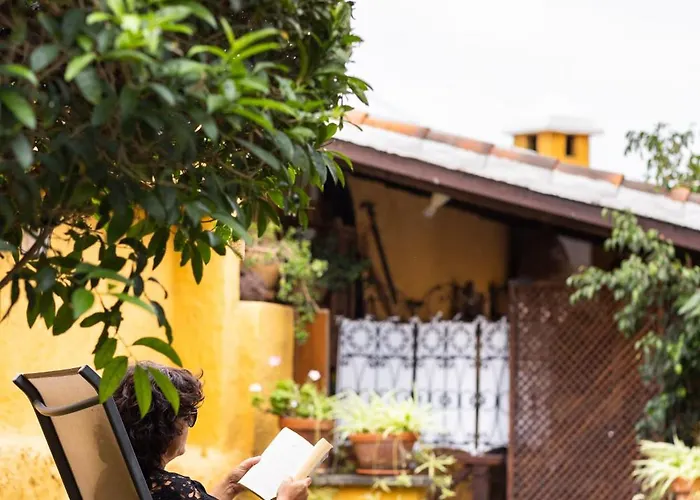 La Ganania Los Realejos